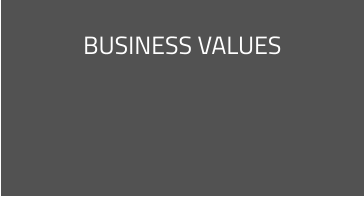 BUSINESS VALUES
