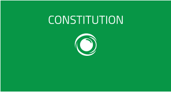 CONSTITUTION